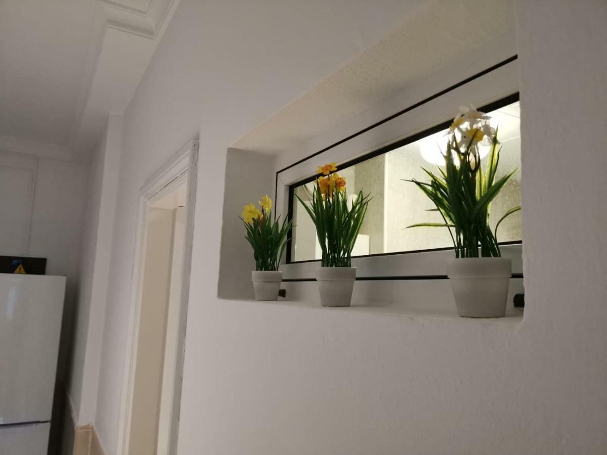 Apartamentos Taidia 普拉亚戴尔雷安格莱斯 外观 照片