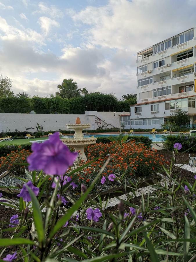 Apartamentos Taidia 普拉亚戴尔雷安格莱斯 外观 照片