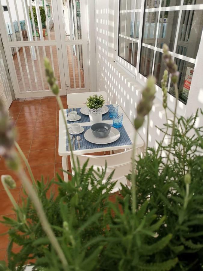Apartamentos Taidia 普拉亚戴尔雷安格莱斯 外观 照片